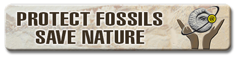 protege-fosiles