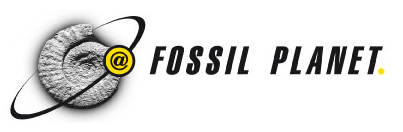 (c) Fossilplanet.com
